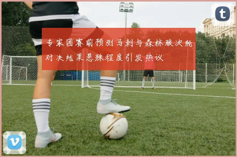 专家团赛前预测马刺与森林狼次轮对决结果悬殊程度引发热议