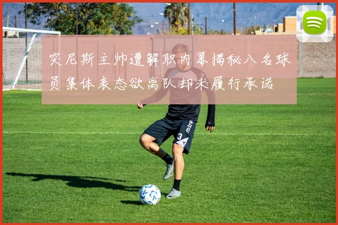 突尼斯主帅遭解职内幕揭秘八名球员集体表态欲离队却未履行承诺